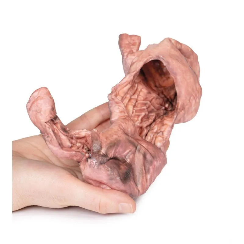 3D Printed Stomach