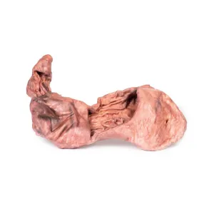 3D Printed Stomach