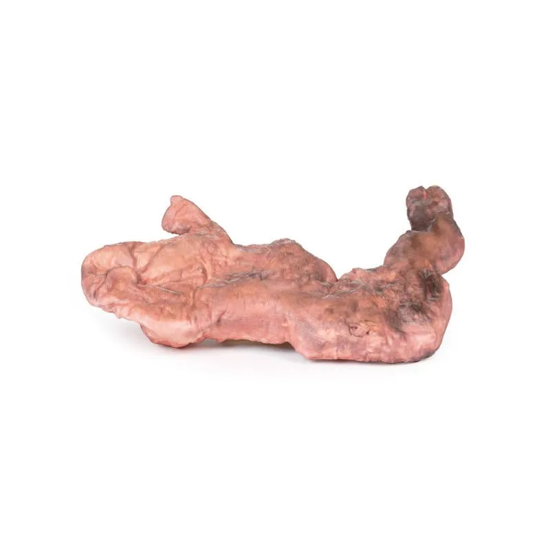 3D Printed Stomach
