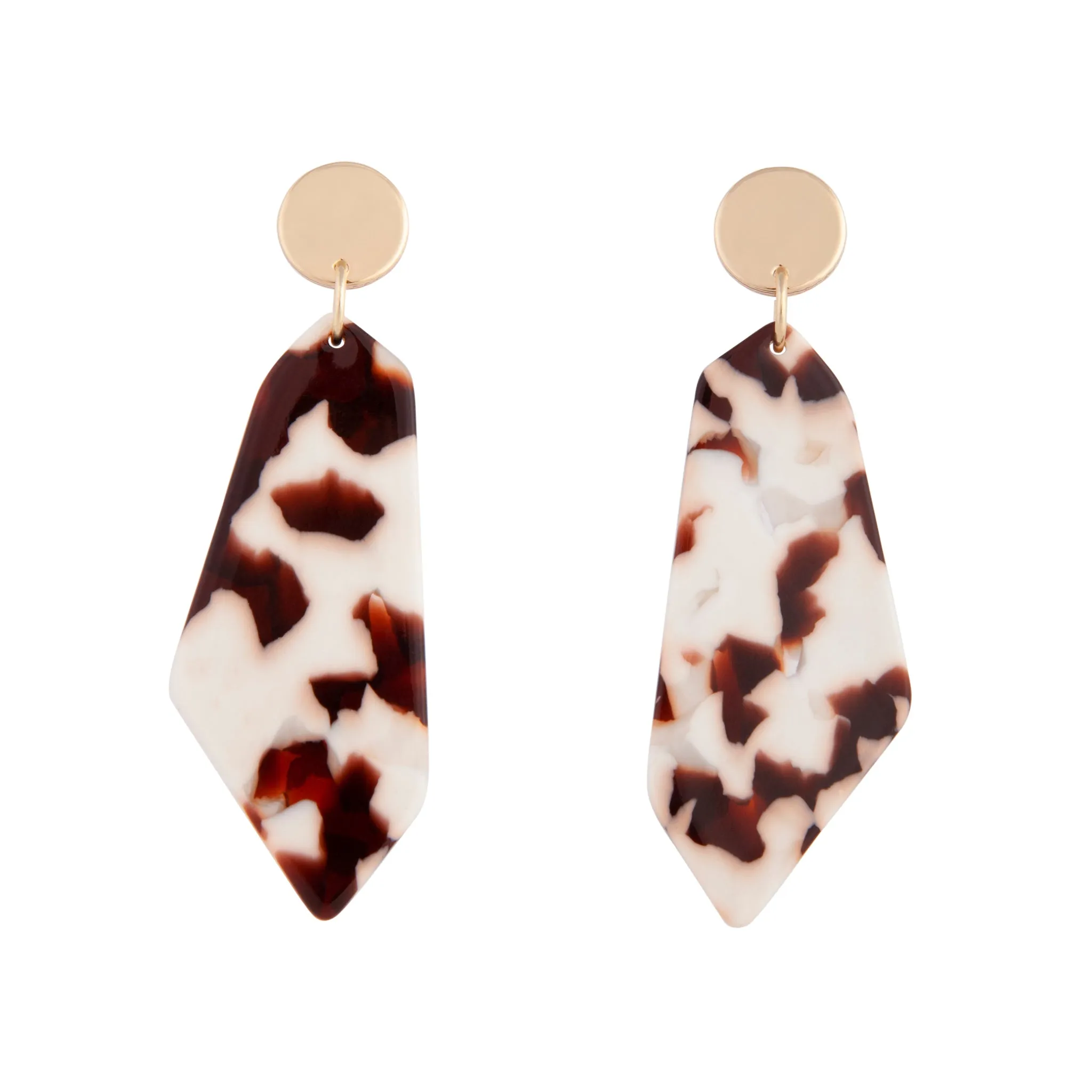 Acrylic Resin Shard Earring