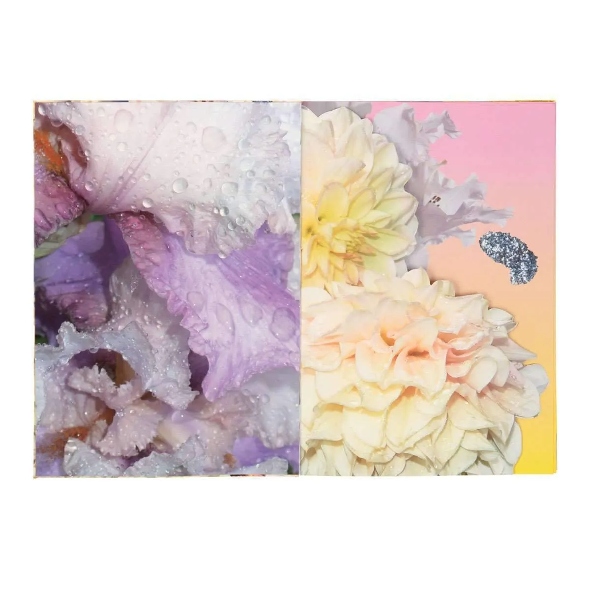 Christian Lacroix THE ART SERIES - CATHERINE LARRÉ A5 NOTEBOOK