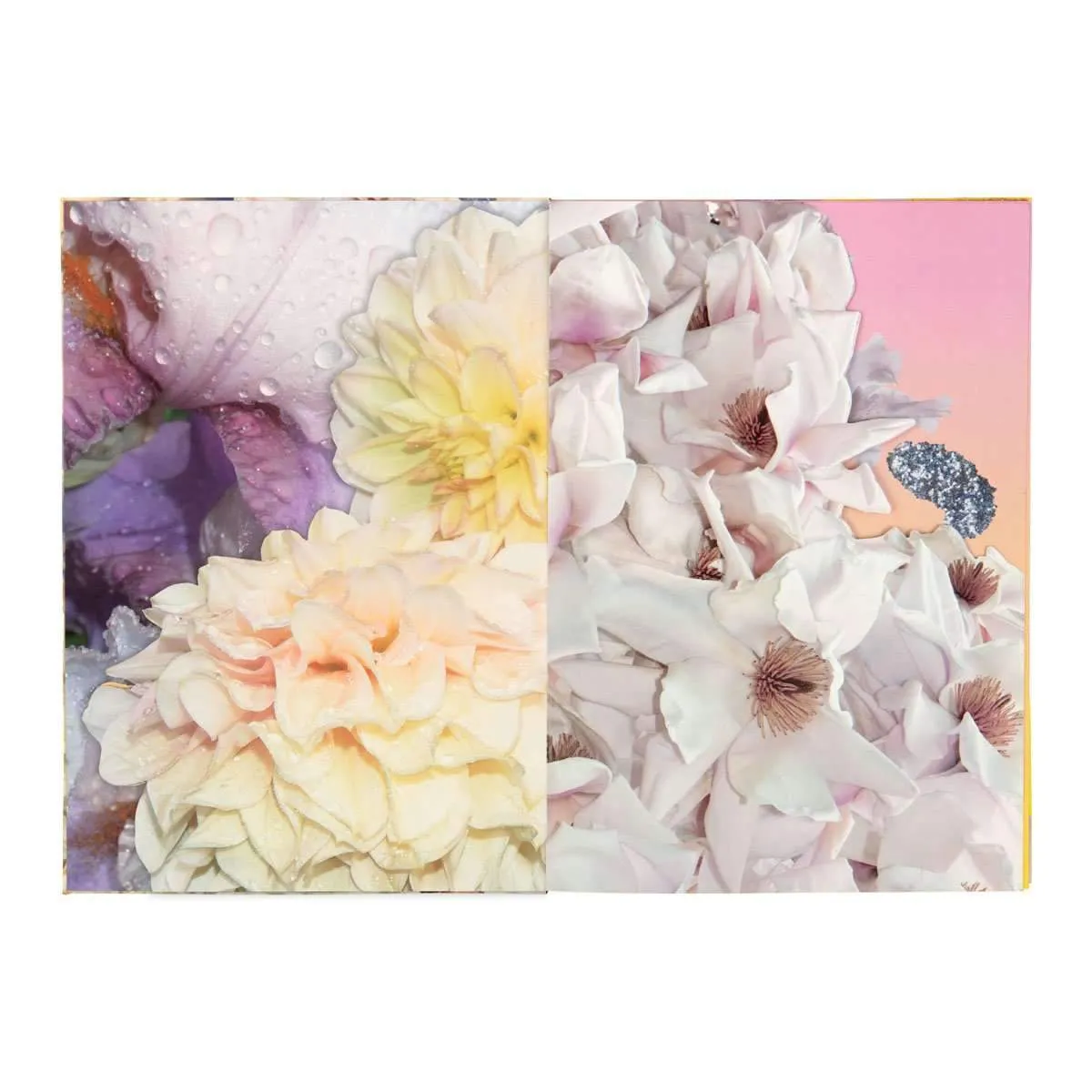 Christian Lacroix THE ART SERIES - CATHERINE LARRÉ A5 NOTEBOOK