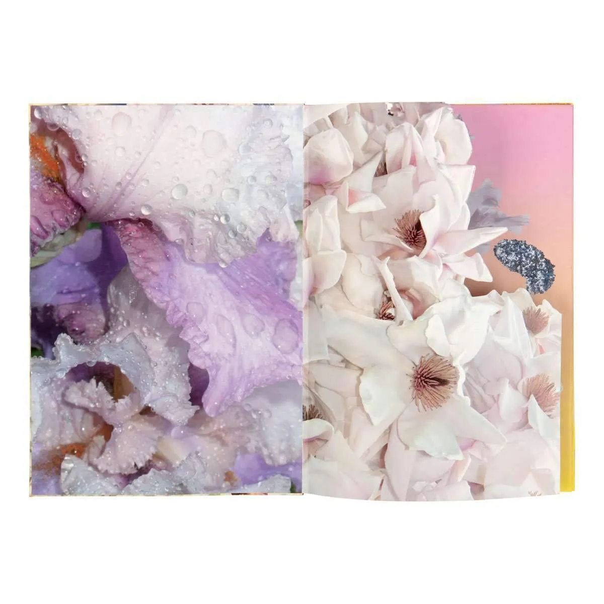 Christian Lacroix THE ART SERIES - CATHERINE LARRÉ A5 NOTEBOOK