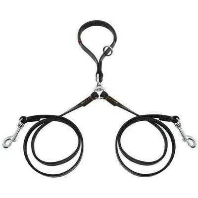 Golden Double Leather Pet Leads - Set of 2