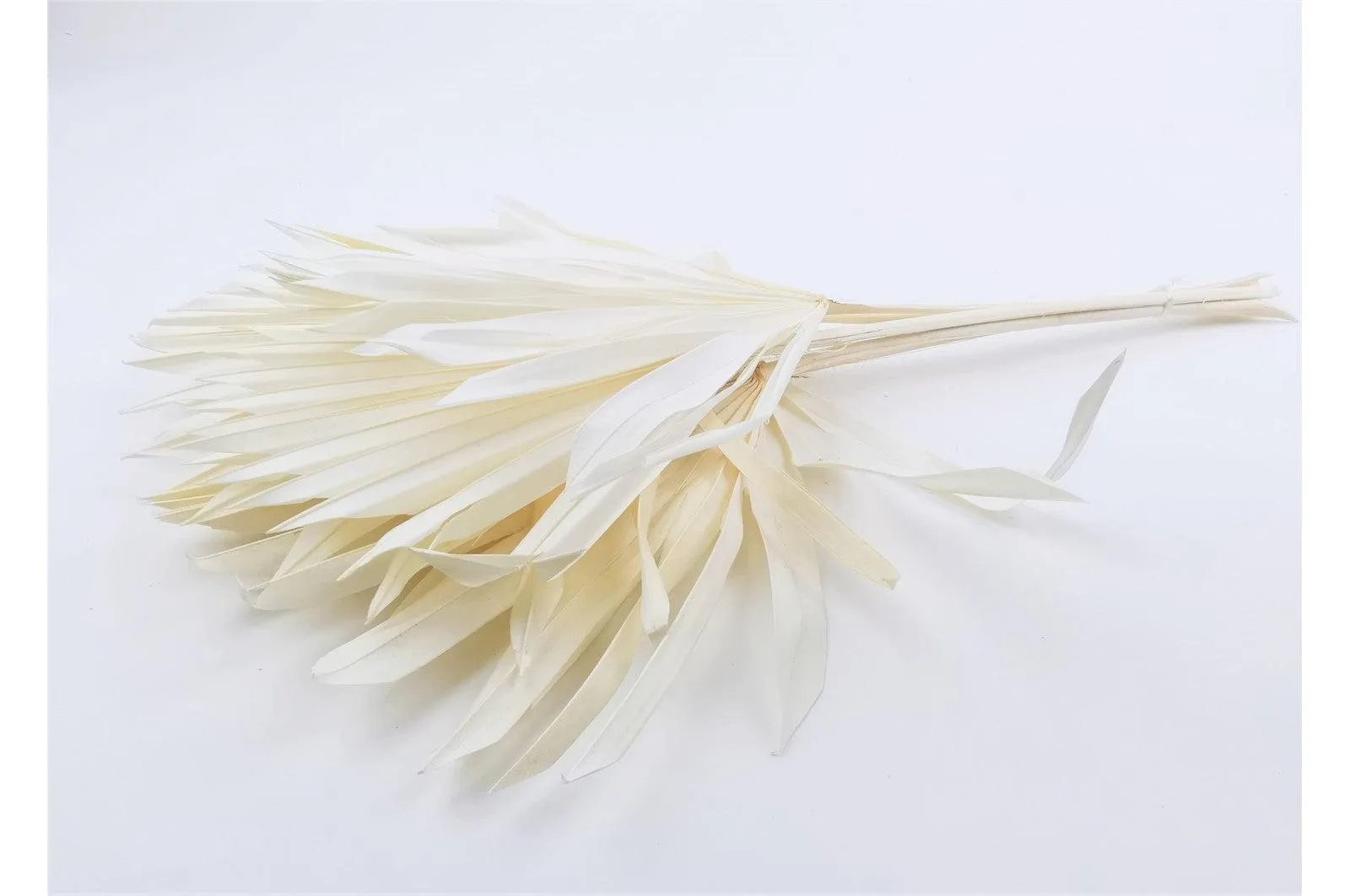 Italian White Palm Sun Bouquet