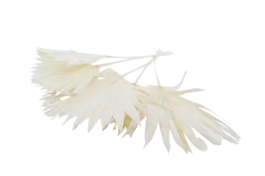 Italian White Palm Sun Bouquet