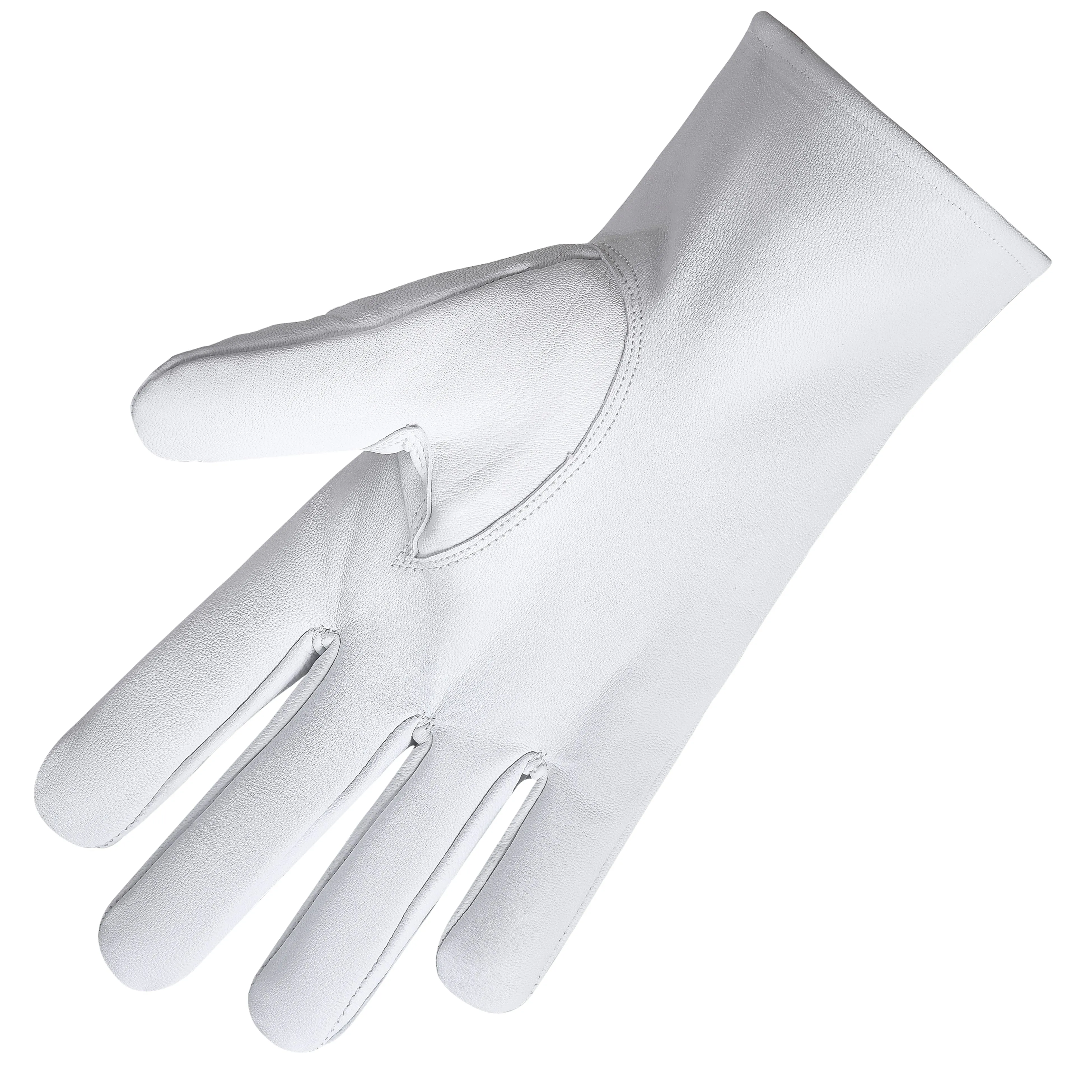 Past Master Blue Lodge California Regulation Gloves - Leather With Gold Emblem With Blue Borders
