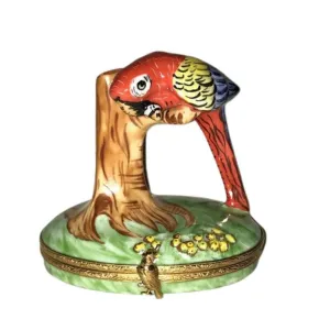 Red Macaw