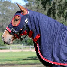 Stadium Wool Hood