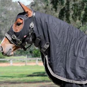 Stadium Wool Hood