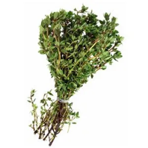 THYME PURE (RED) SPANISH